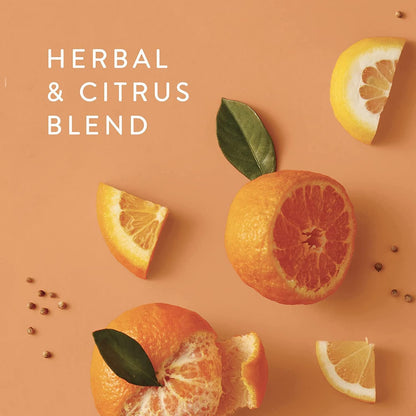 Aqua Coralline Petite Reed Diffuser – Home Fragrance Diffuser Set Includes Reed Diffuser Sticks, Fragrance Oil, and Glass Bottle Oil Diffuser (4 Fl Oz)